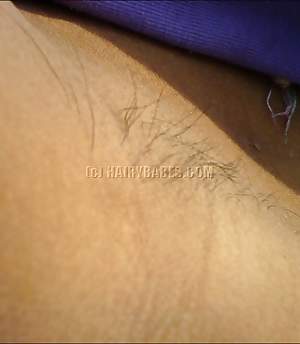 HAIRYBABES.com